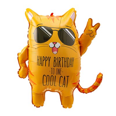 Ballon | XL | Verjaardag kat 