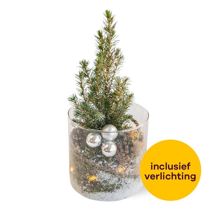  Kerststuk Oh Denneboom