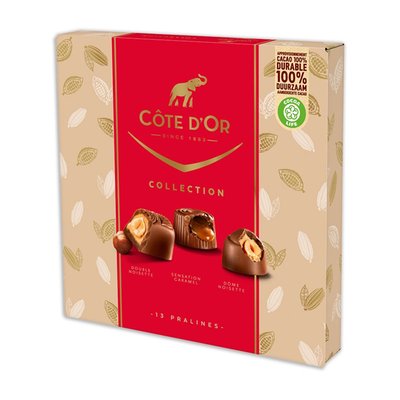 Côte d'Or | Giftbox | Premium pralines | 345g