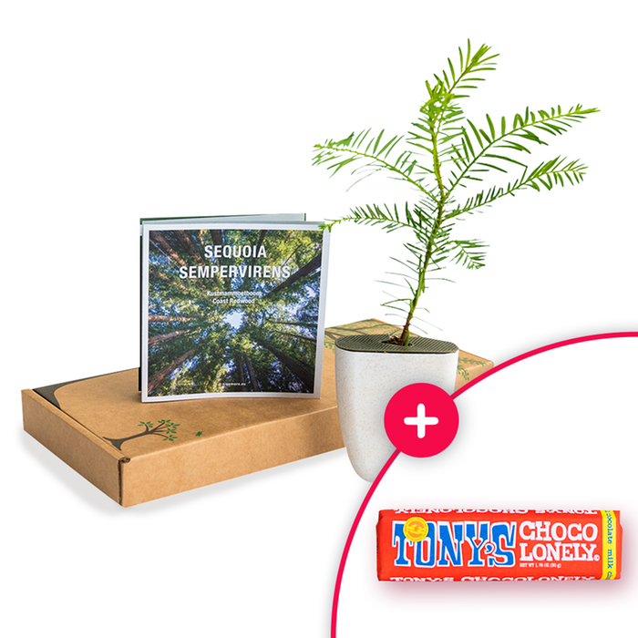  Brievenbus giftset Sequoia met tony 