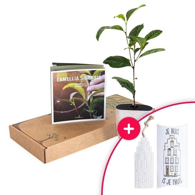 Brievenbus giftset je huis is je thuis