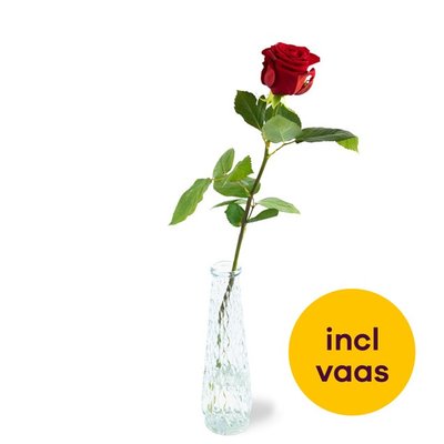Speciaal voor jou | Rode roos incl. vaas
