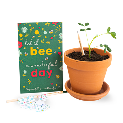 Bloeipotloden - Let it Bee + confetti