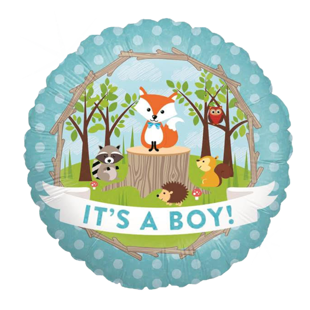 Ballon dieren 'It's a boy'
