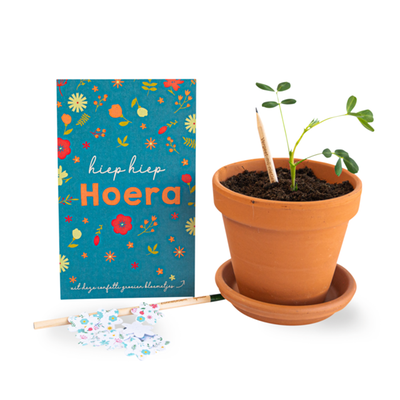 Bloeipotloden - Hoera + confetti