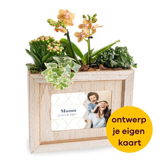 Plant van de maand -  Speciaal voor jou