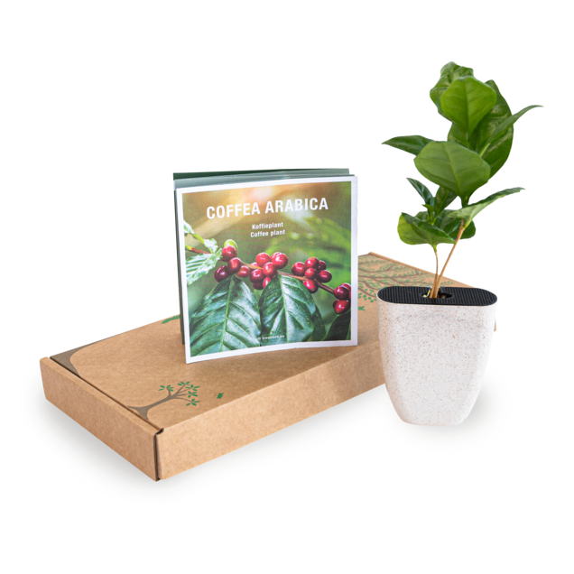 Origineel brievenbus cadeau 