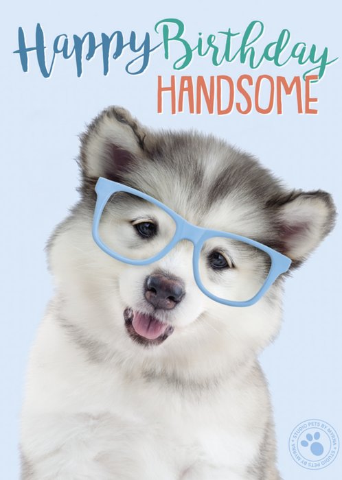 Studio Pets | Verjaardagskaart | hondje