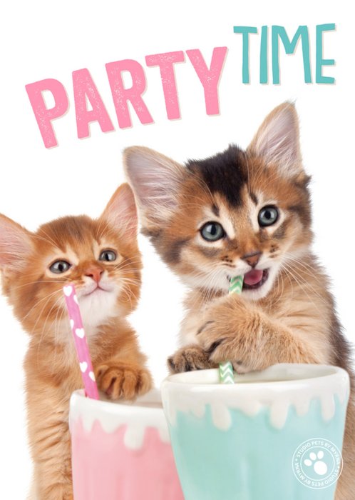 Studio Pets | Uitnodiging Verjaardagsfeest | Katten