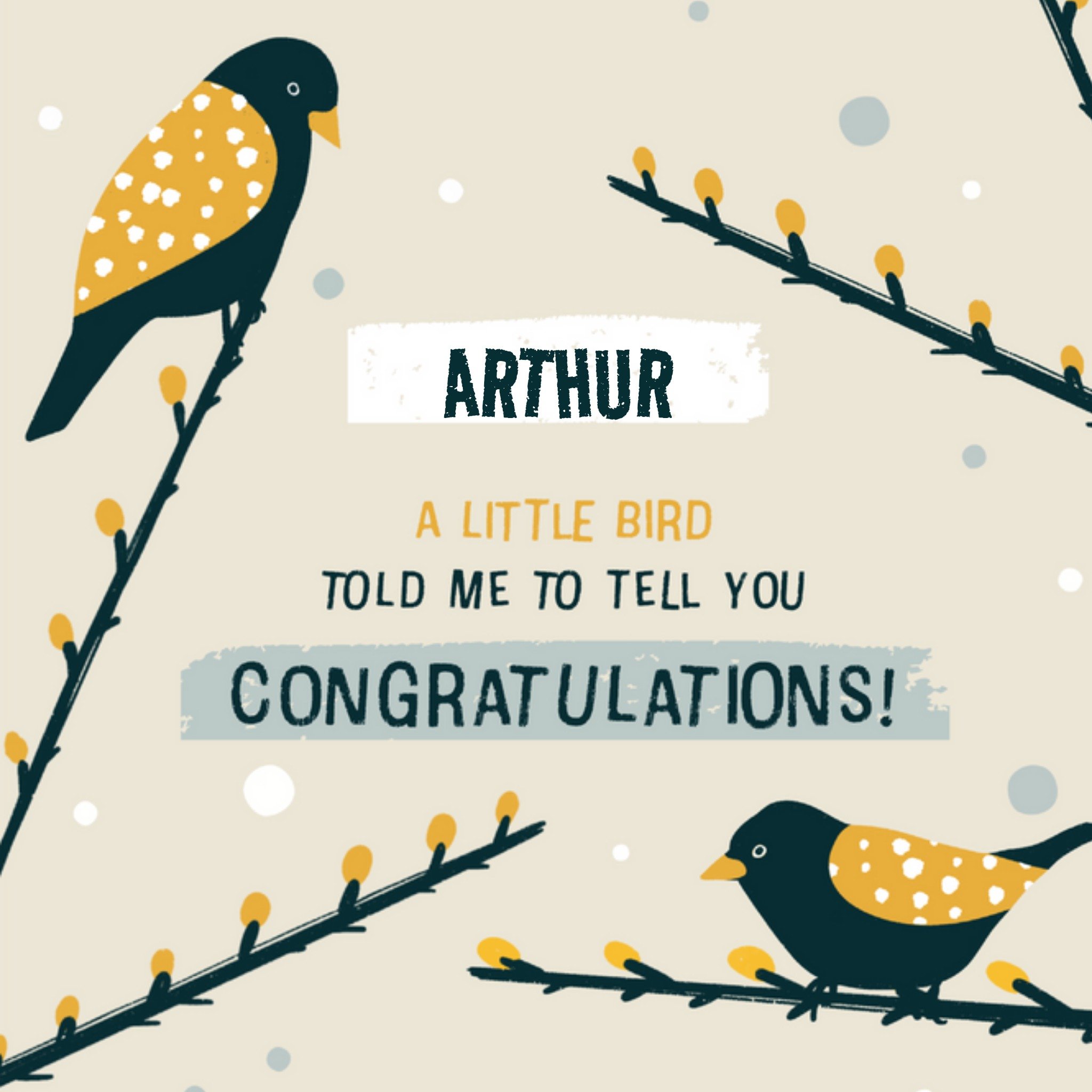 Felicitatiekaart - met naam - vogels