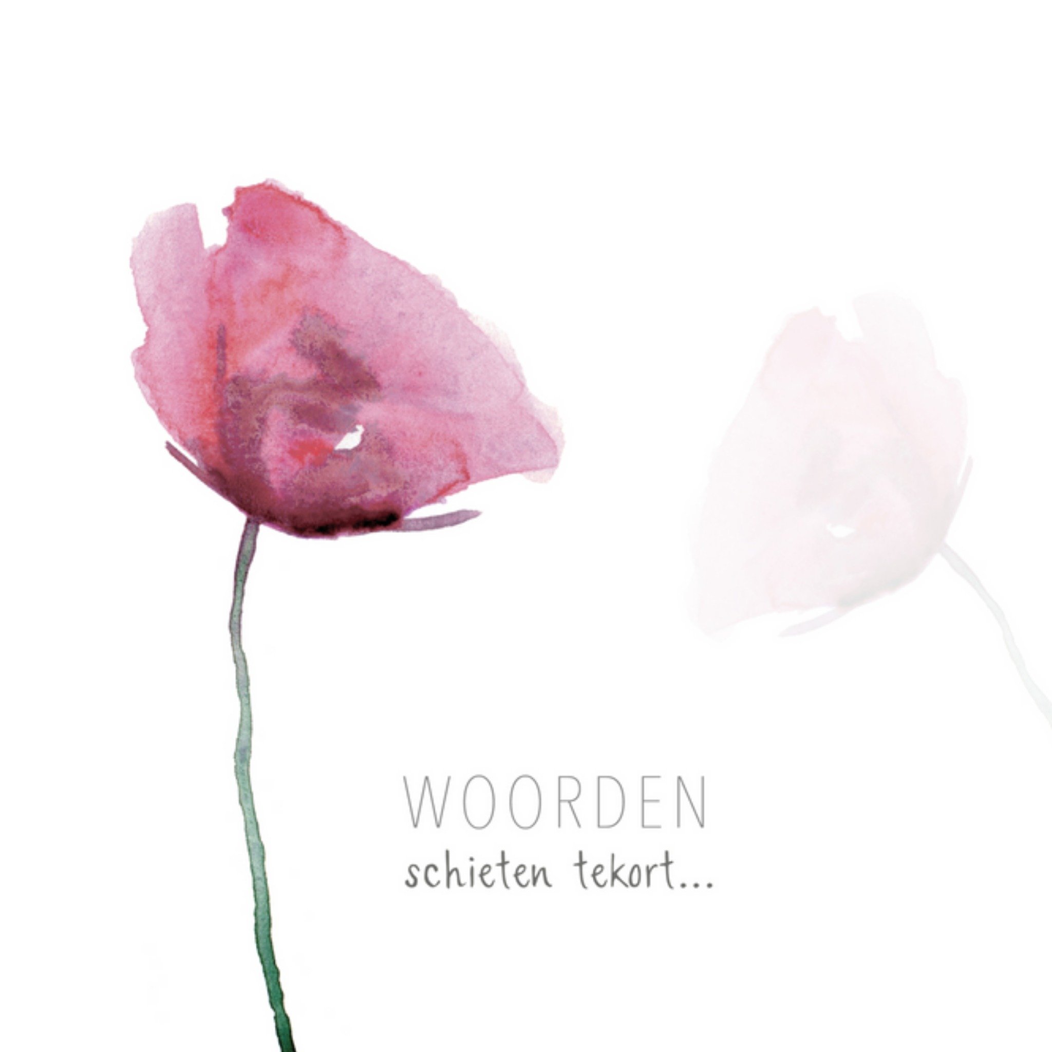 Michelle Dujardin - Condoleance - Woorden tekort