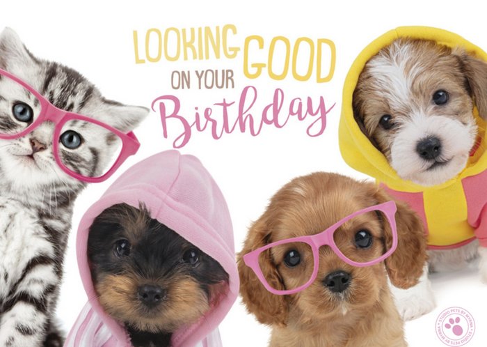 Studio Pets | Verjaardagskaart | stoer | hondjes