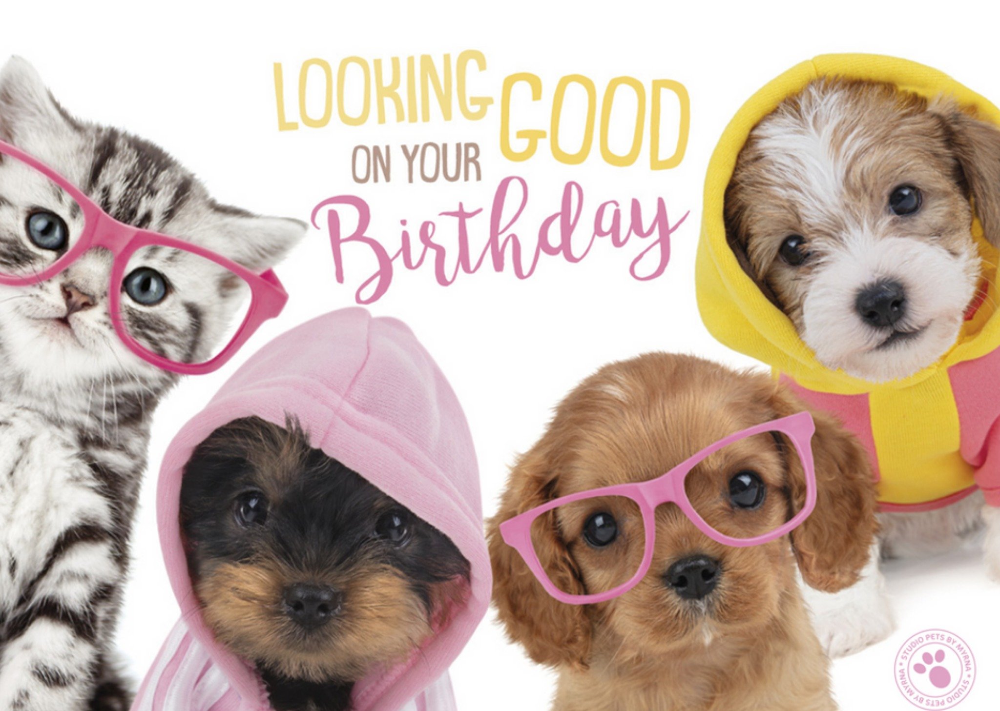 Studio Pets - Verjaardagskaart - stoer - hondjes