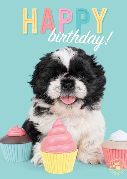 Studio Pets | Verjaardag | Puppy