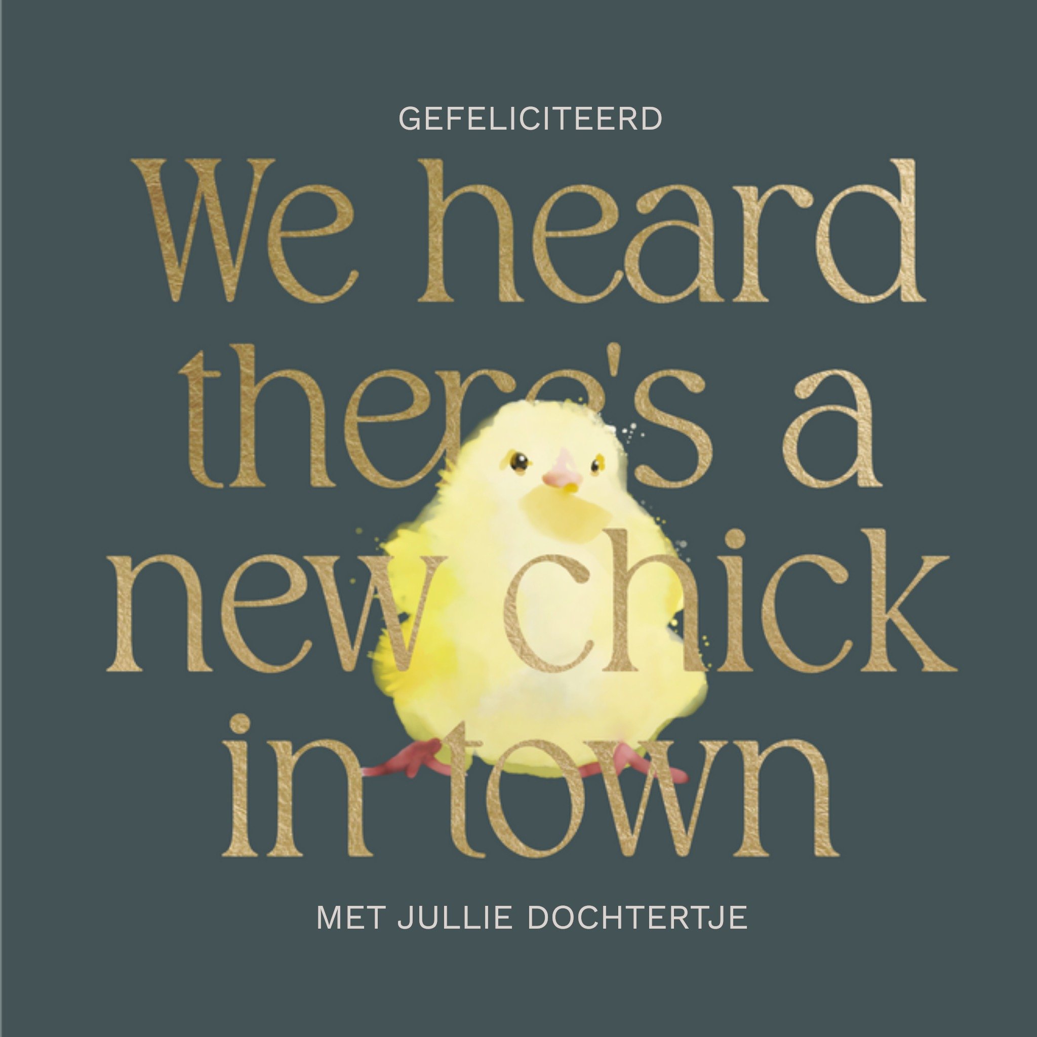 Geboortekaart - A new chick in town