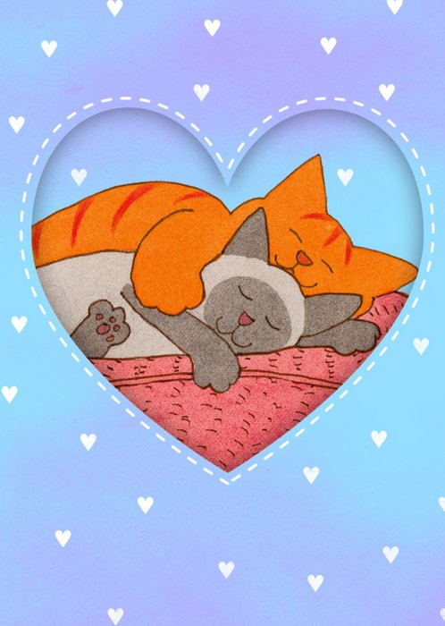Dikkie Dik | Valentijnskaart | katten | hartje