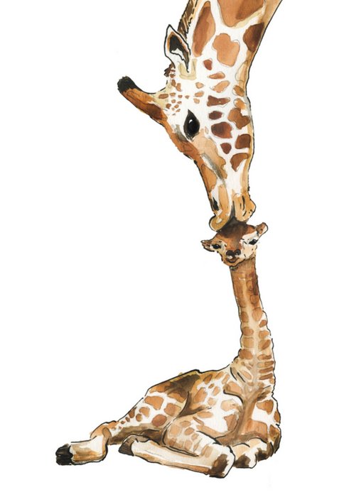 Marie Bodié | Geboortekaartje | Giraffen