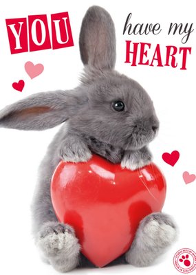 Studio Pets | Valentijnskaart | konijntje | hart