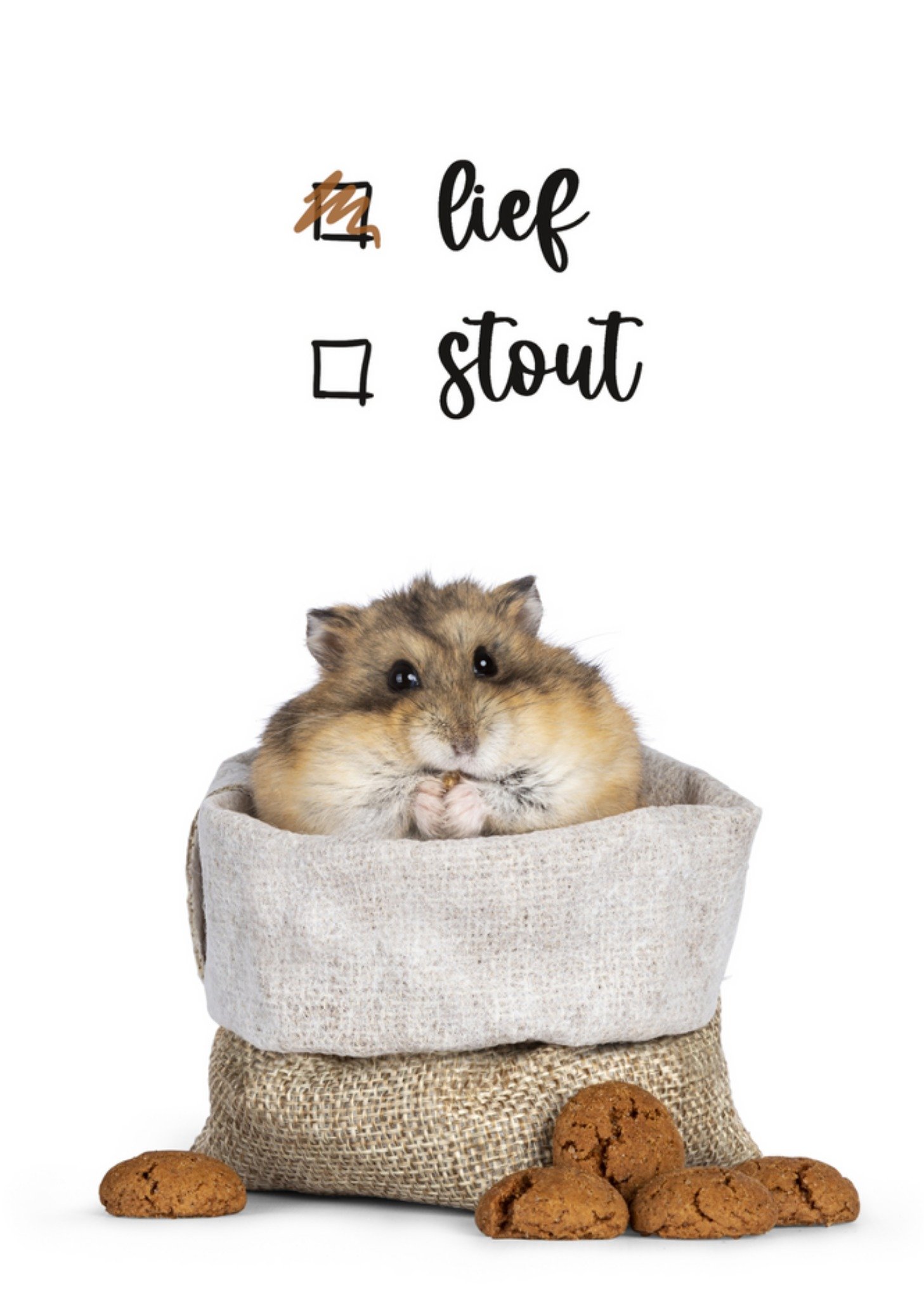 Catchy Images - Sinterklaaskaart - hamster