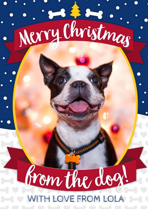 Greetz | Kerst | Hond | Foto