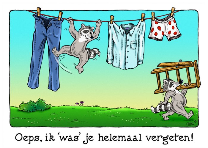 Bengels | Verjaardagskaart | te laat | wasbeer