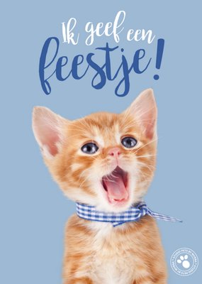 Studio Pets | Uitnodiging feestje | Kitten