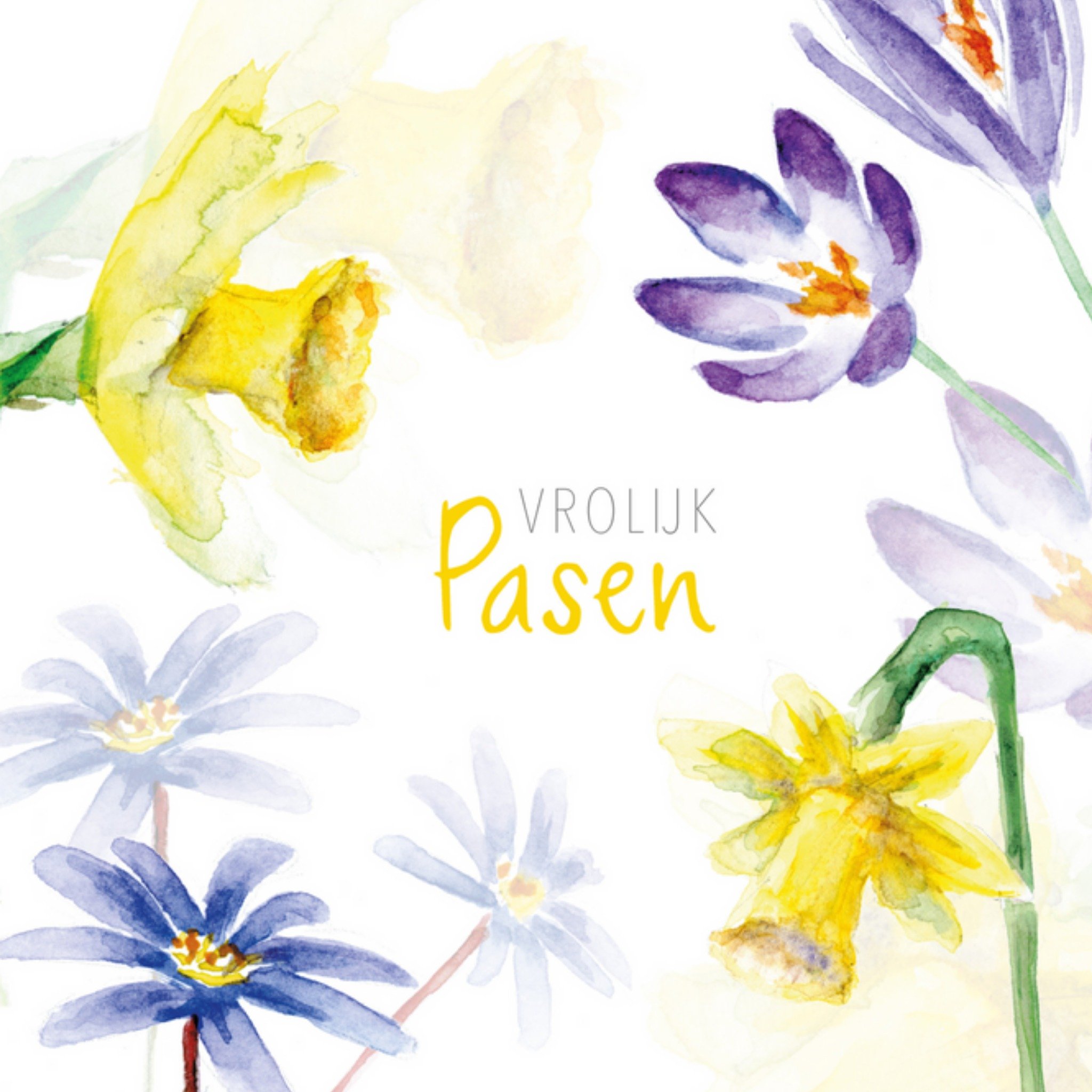 Michelle Dujardin - Paaskaart - Narcissen