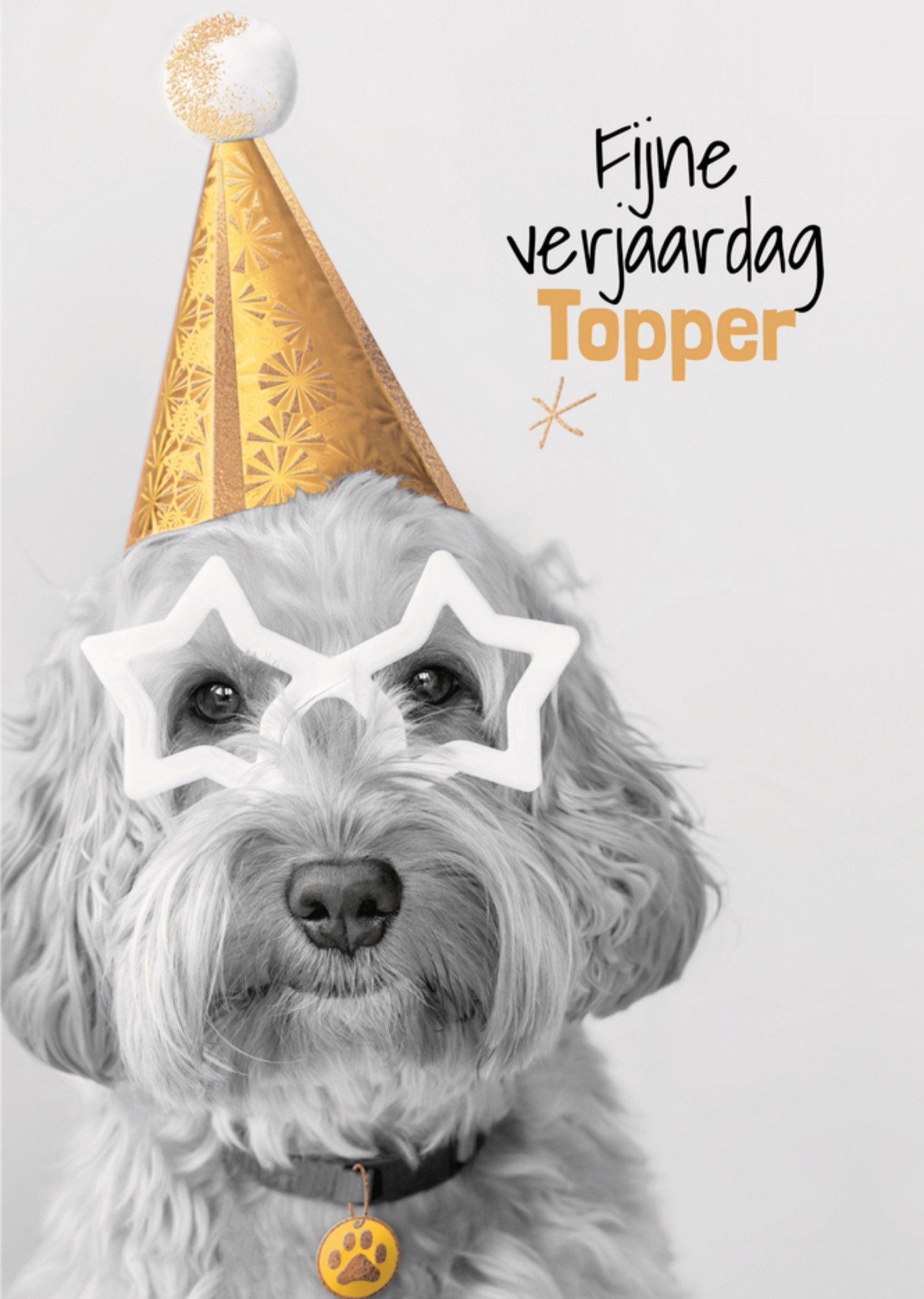 TMS - Verjaardagskaart - Topper - Hond
