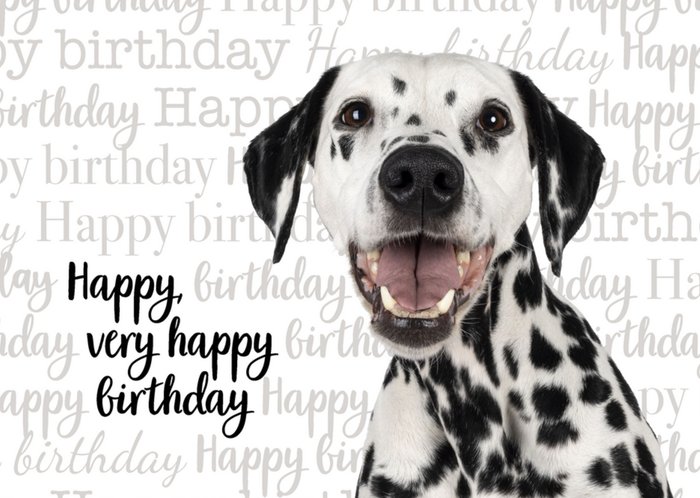 Catchy Images | Verjaardagskaart | Dalmatier
