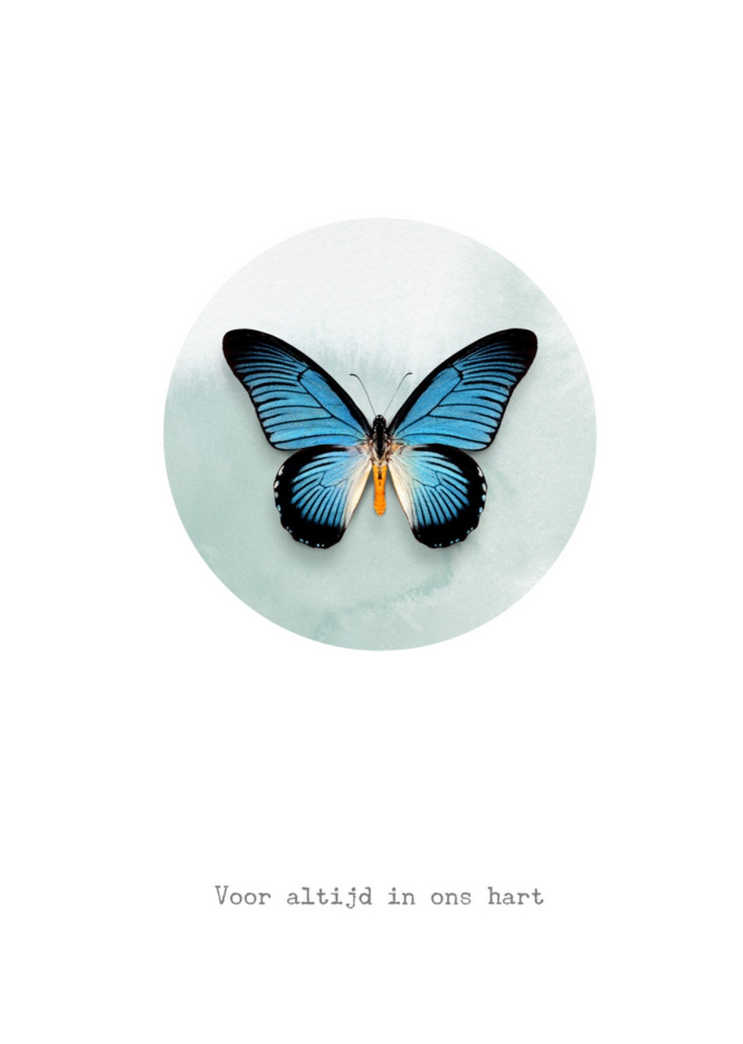Condoleance kaart - Bright Spot - Vlinder
