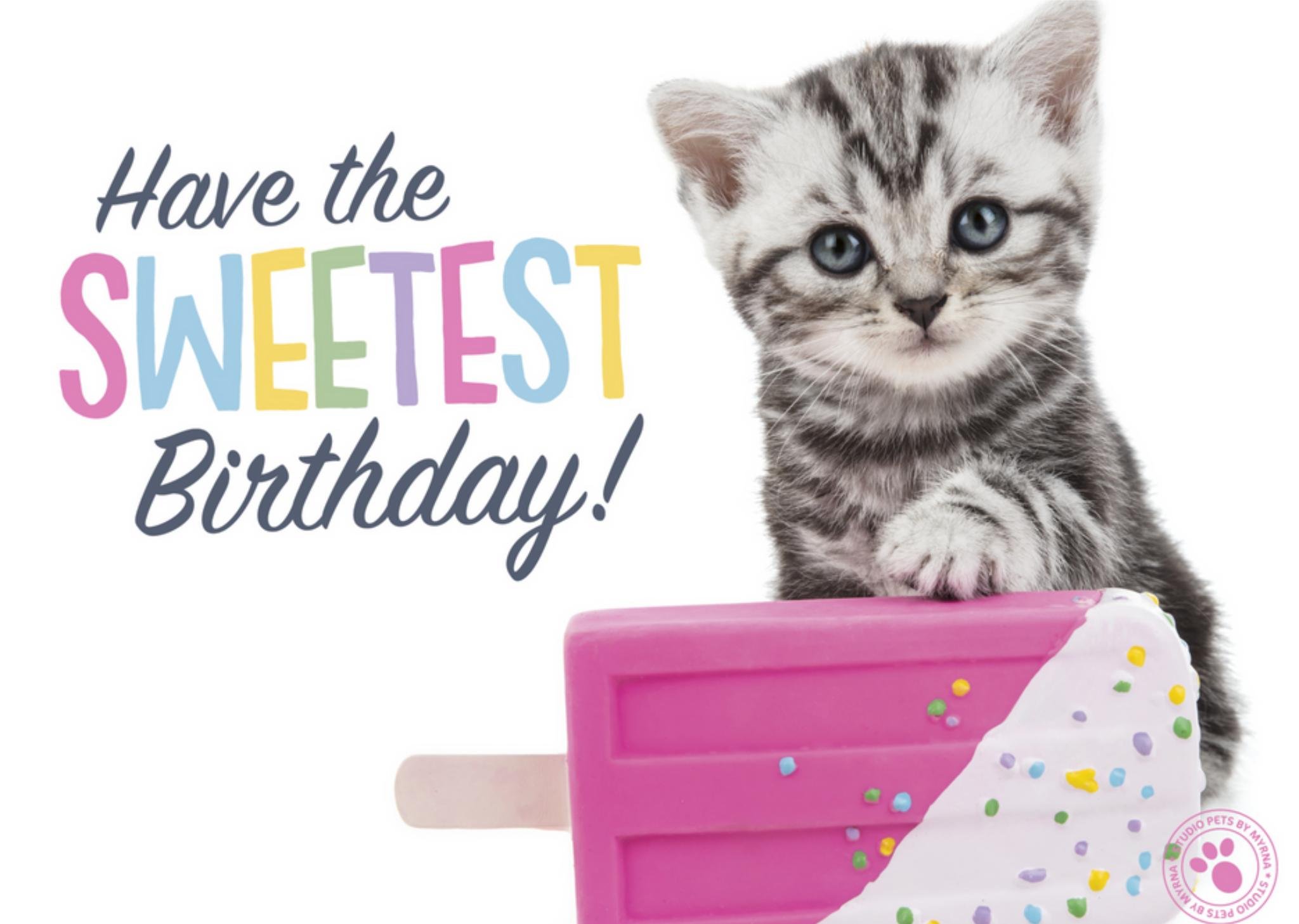 Verjaardagskaart - Studio Pets - Dieren