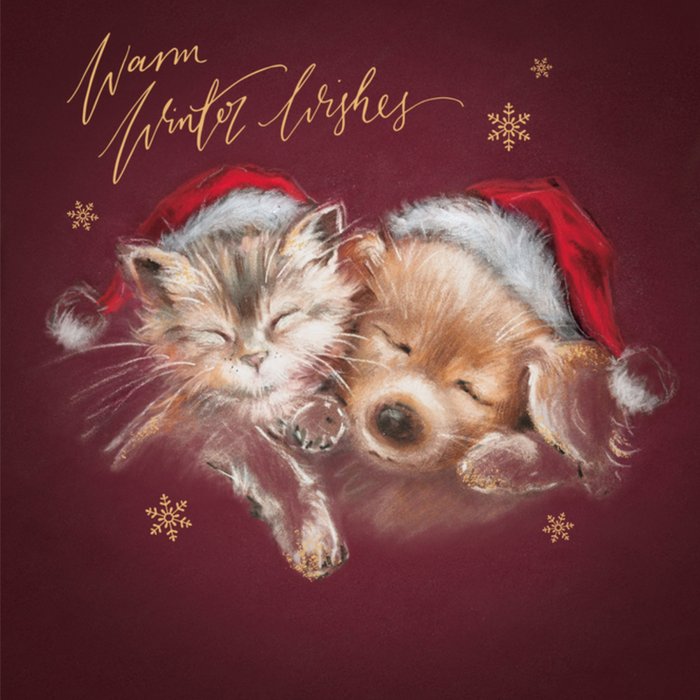 Kerstkaart | UK Greetings | Kat en Hond