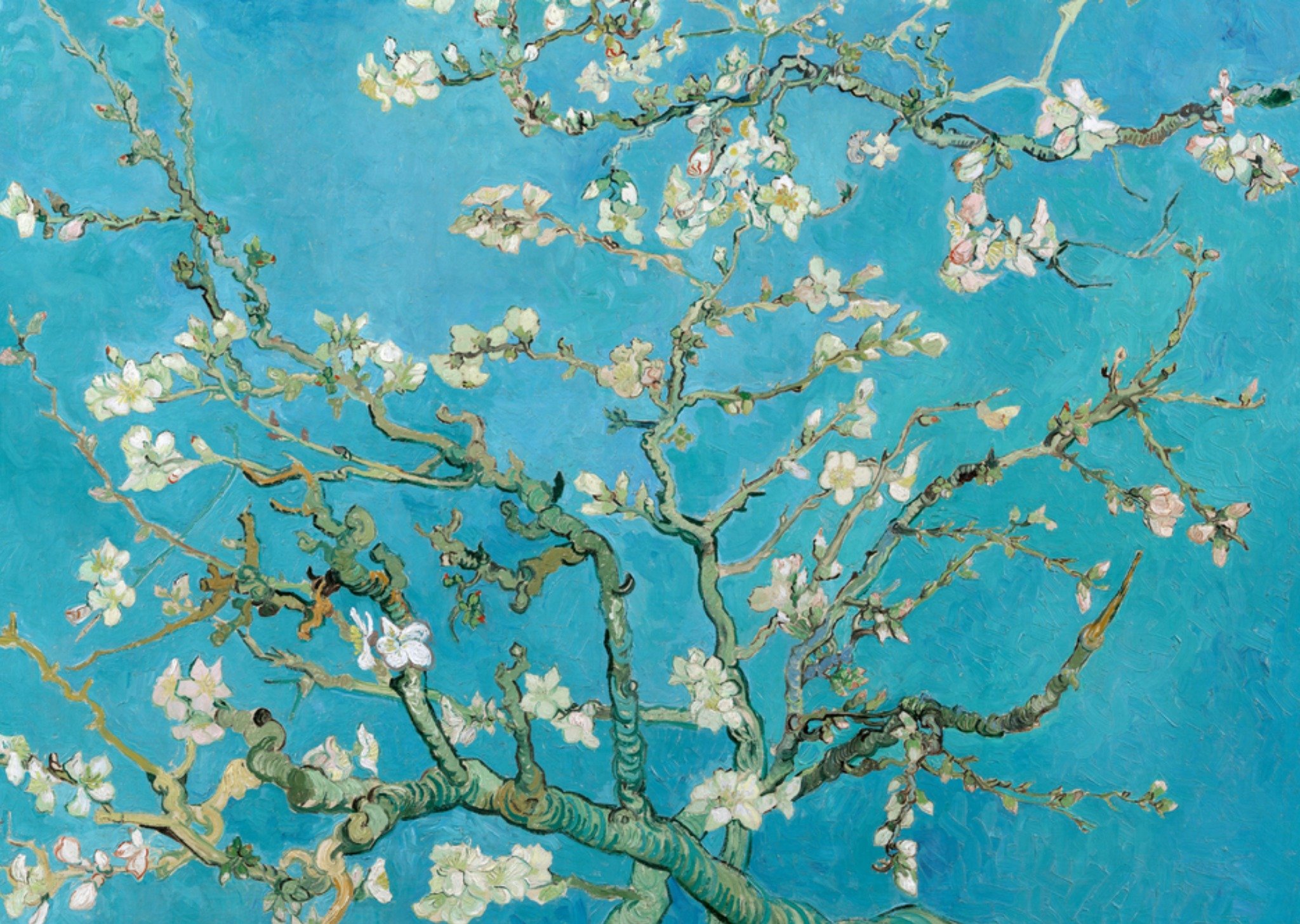Kunstkaart Amandelbloesem - Vincent van Gogh