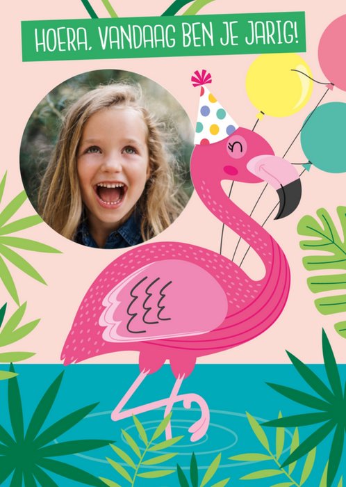 Paperclip | Verjaardagskaart | Flamingo