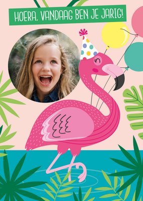 Paperclip | Verjaardagskaart | Flamingo