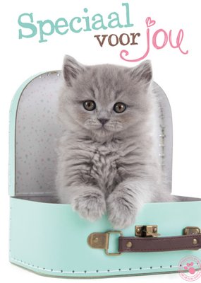 Studio Pets | Vriendschapskaart | kitten | koffer