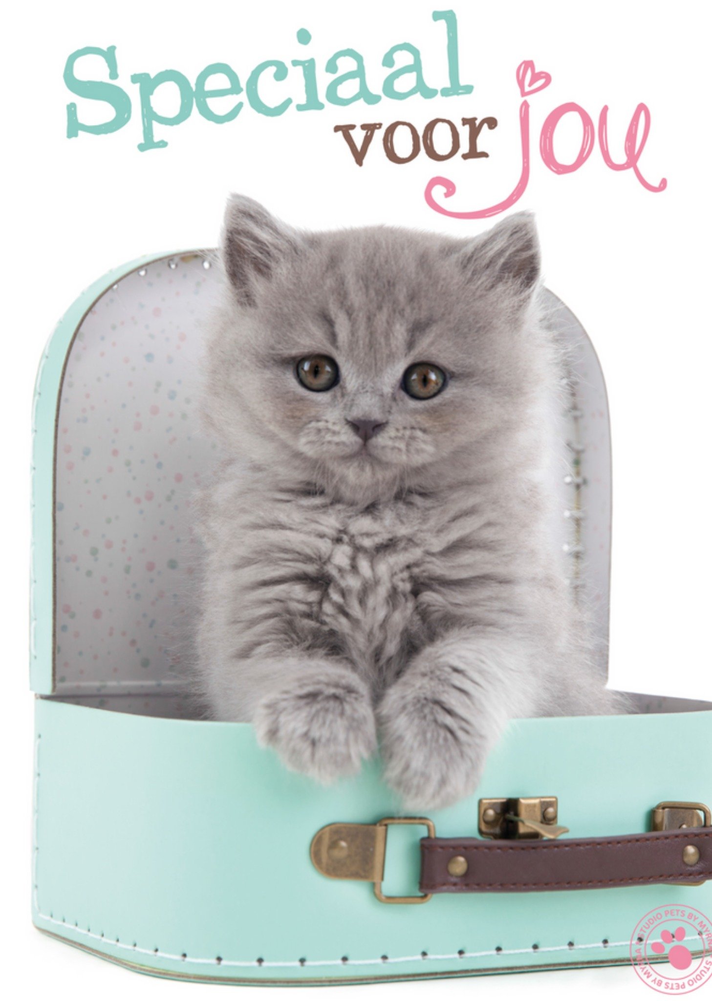 Studio Pets - Vriendschapskaart - kitten - koffer