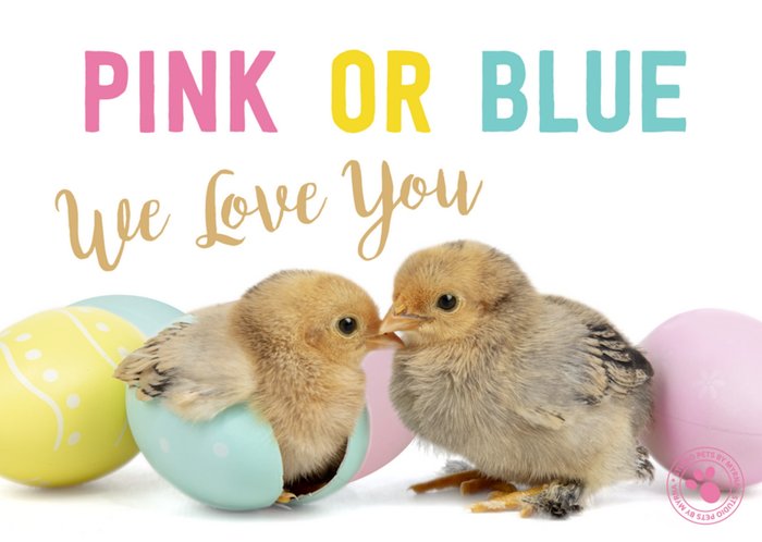 Studio Pets | Uitnodiging Gender Reveal | Pink or Blue, we love you