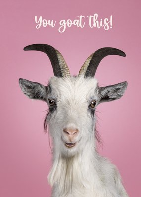 Catchy Images | Succeskaart | You goat this! | Grappig