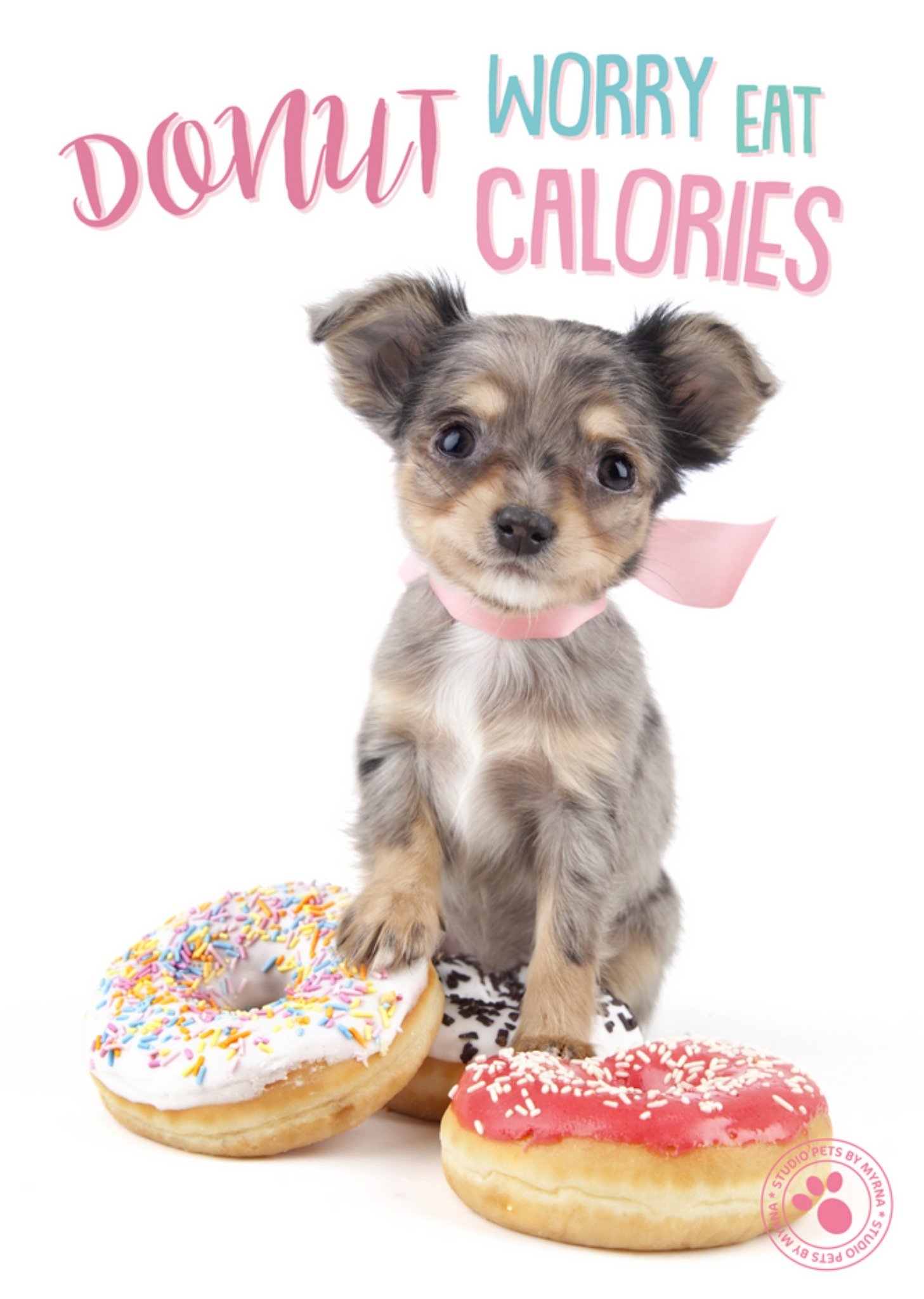 Studio Pets - Verjaardagskaart - Donut Worry