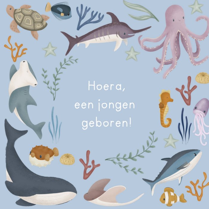 Little Dutch | Geboortekaart | Zeewezens
