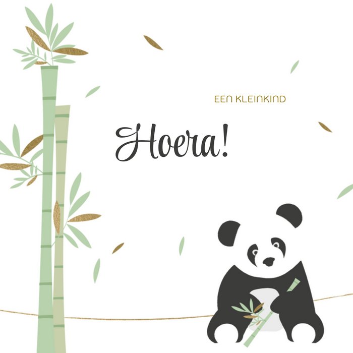 Greetz | Geboorte kaart | Een kleine panda