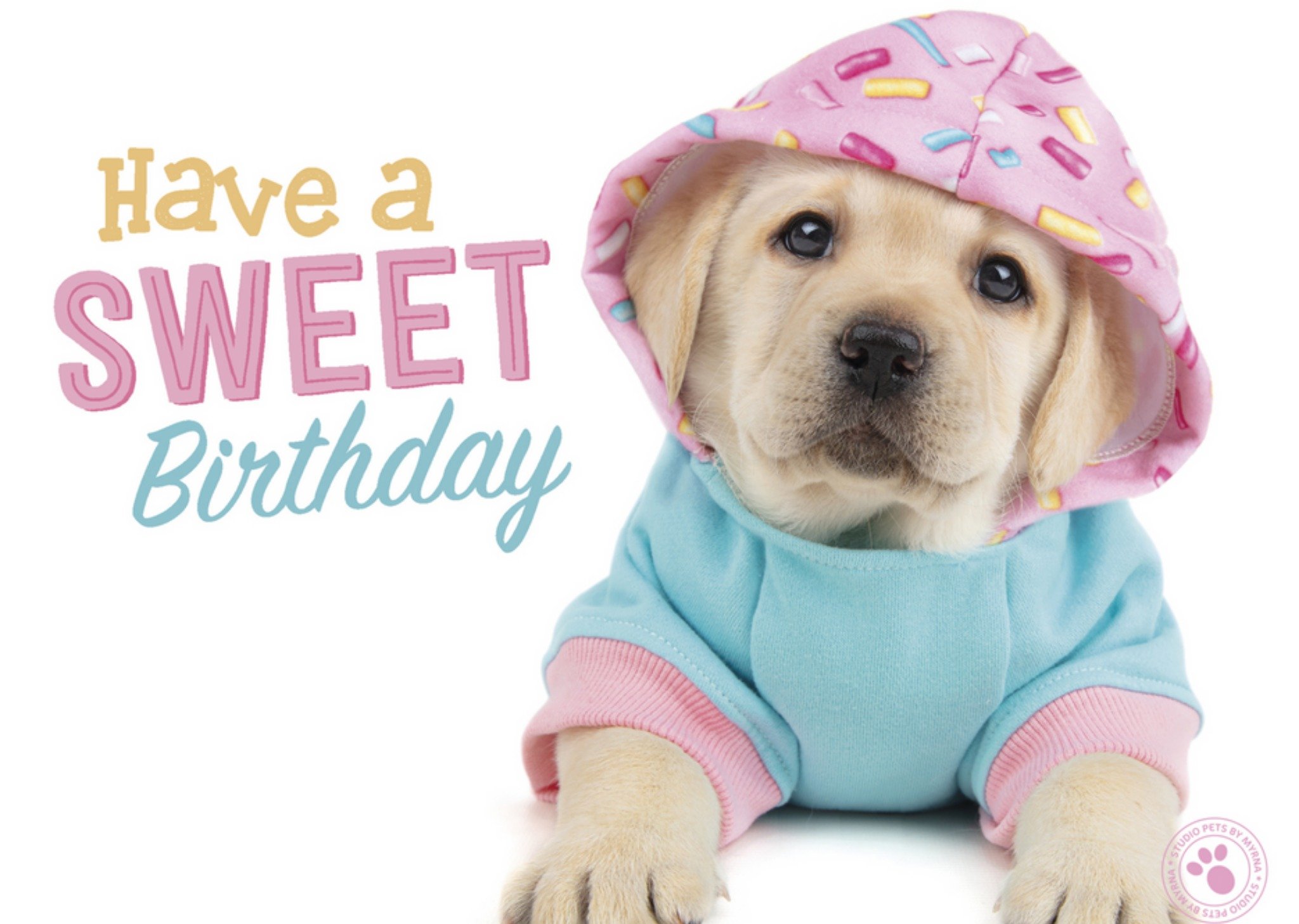 Studio Pets - Verjaardagskaart - hondje
