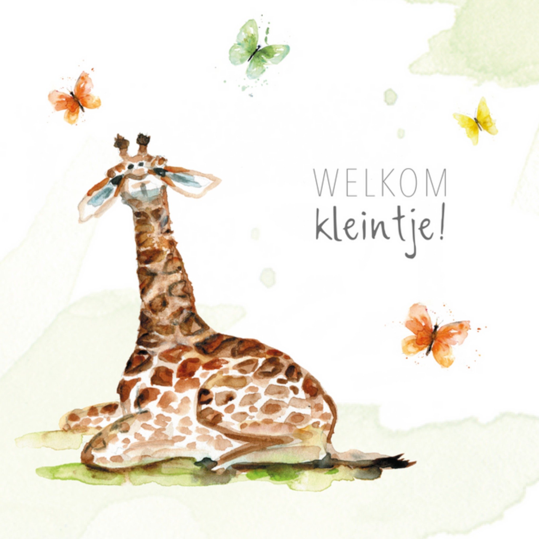 Michelle Dujardin - Geboortekaart - Giraffe