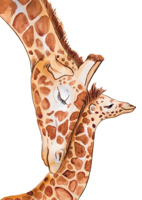 Marie Bodie | Geboortekaart | Giraffen