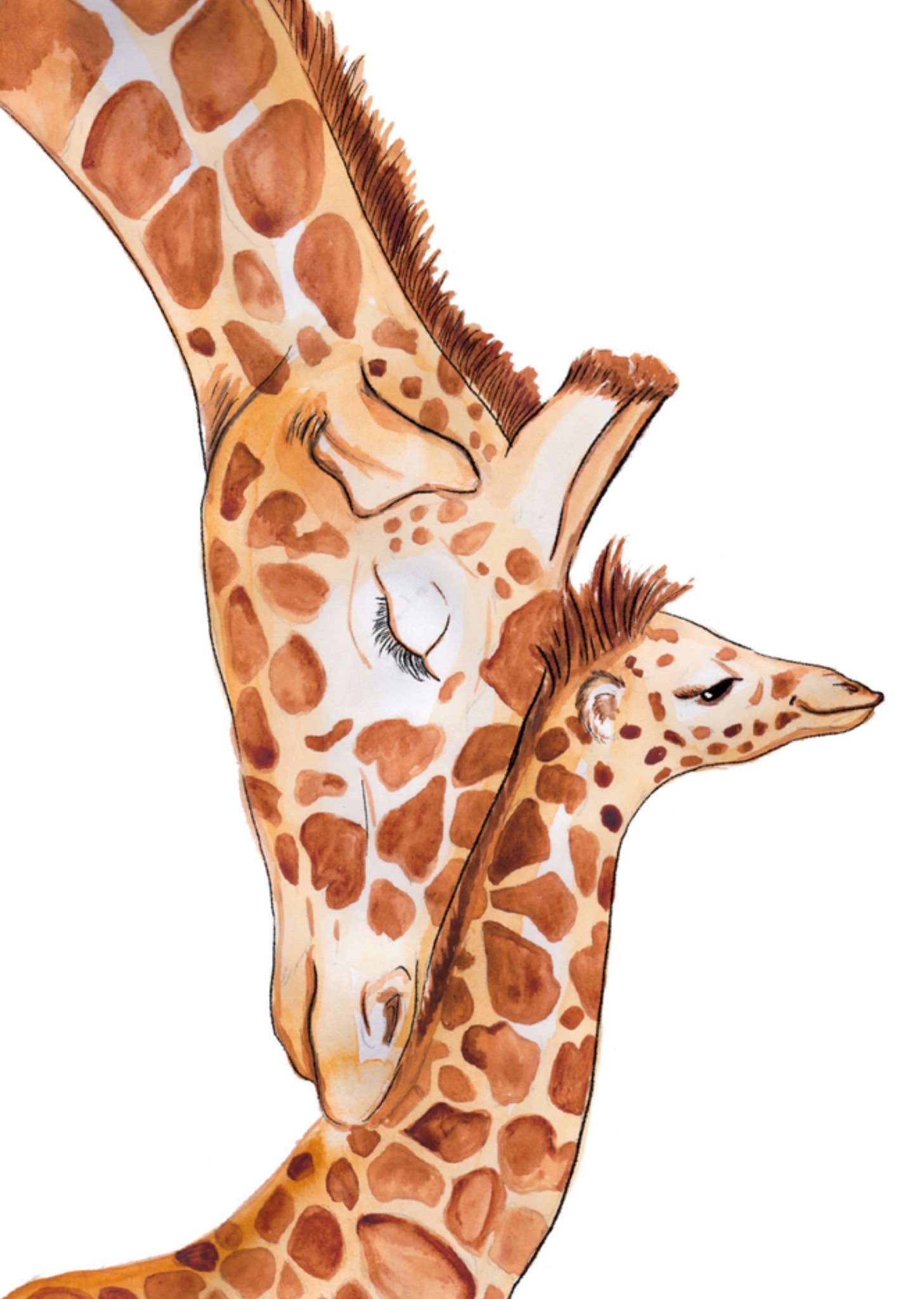 Marie Bodie - Geboortekaart - Giraffen
