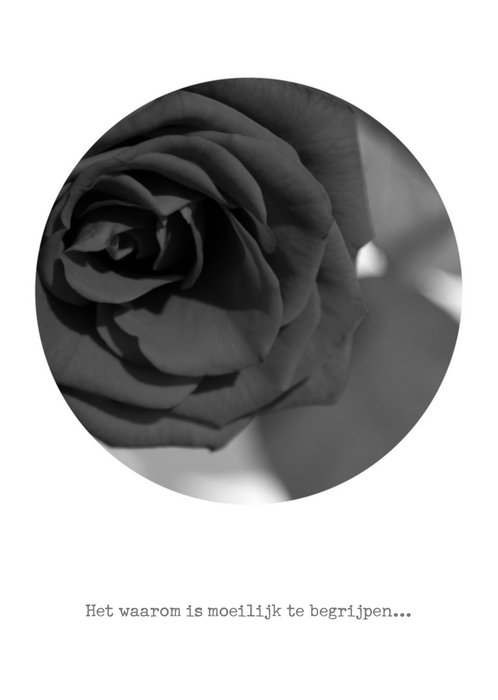 Condoleance kaart met zwarte roos