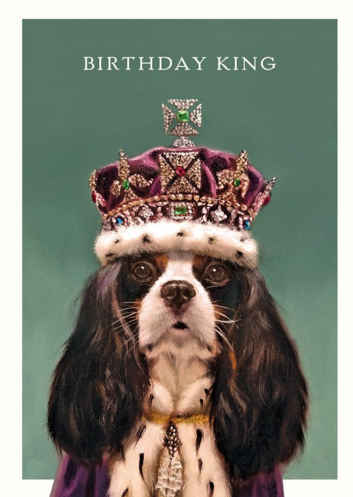 Pigment - Verjaardagskaart - hond - kroon