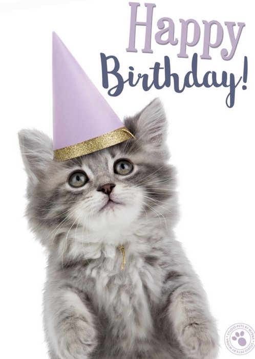 Verjaardagskaart | Studio Pets | Dieren