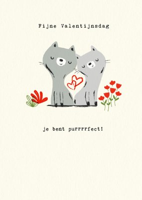 iDrew Illustrations | Valentijnskaart | katten